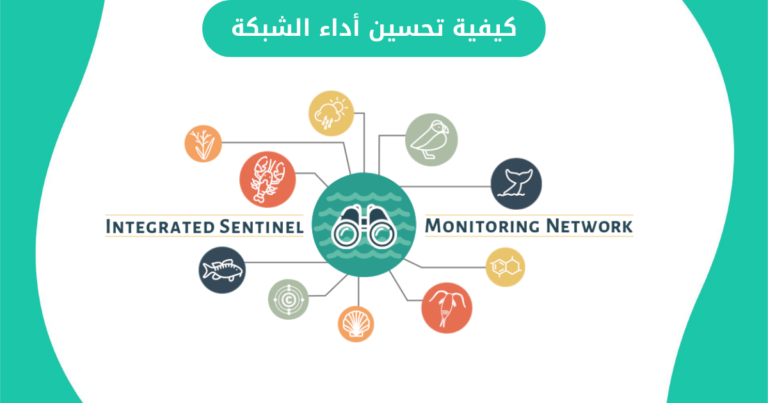 كيفية تحسين أداء الشبكة